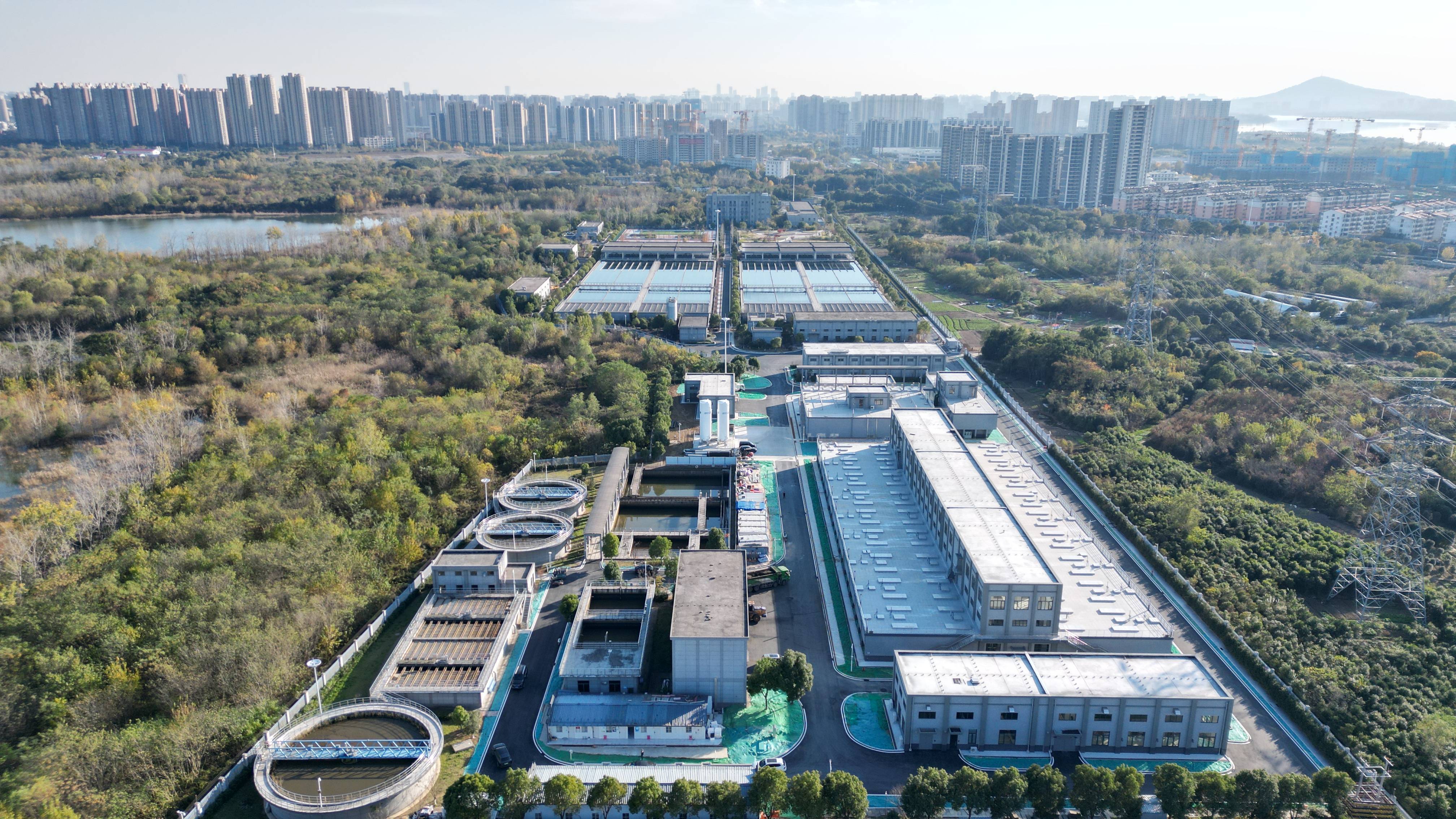 大庆市合肥专业企业价值增长(合肥市重点企业产业目录)