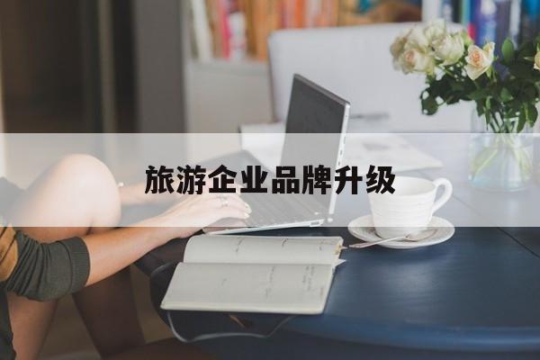 大庆市旅游企业品牌升级(旅游企业品牌升级措施)