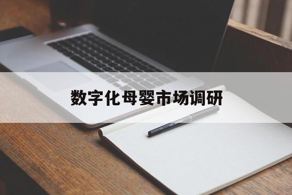大庆市数字化母婴市场调研(数字化母婴市场调研报告)